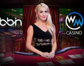 ayx大厅手机版登录入口2024最新版